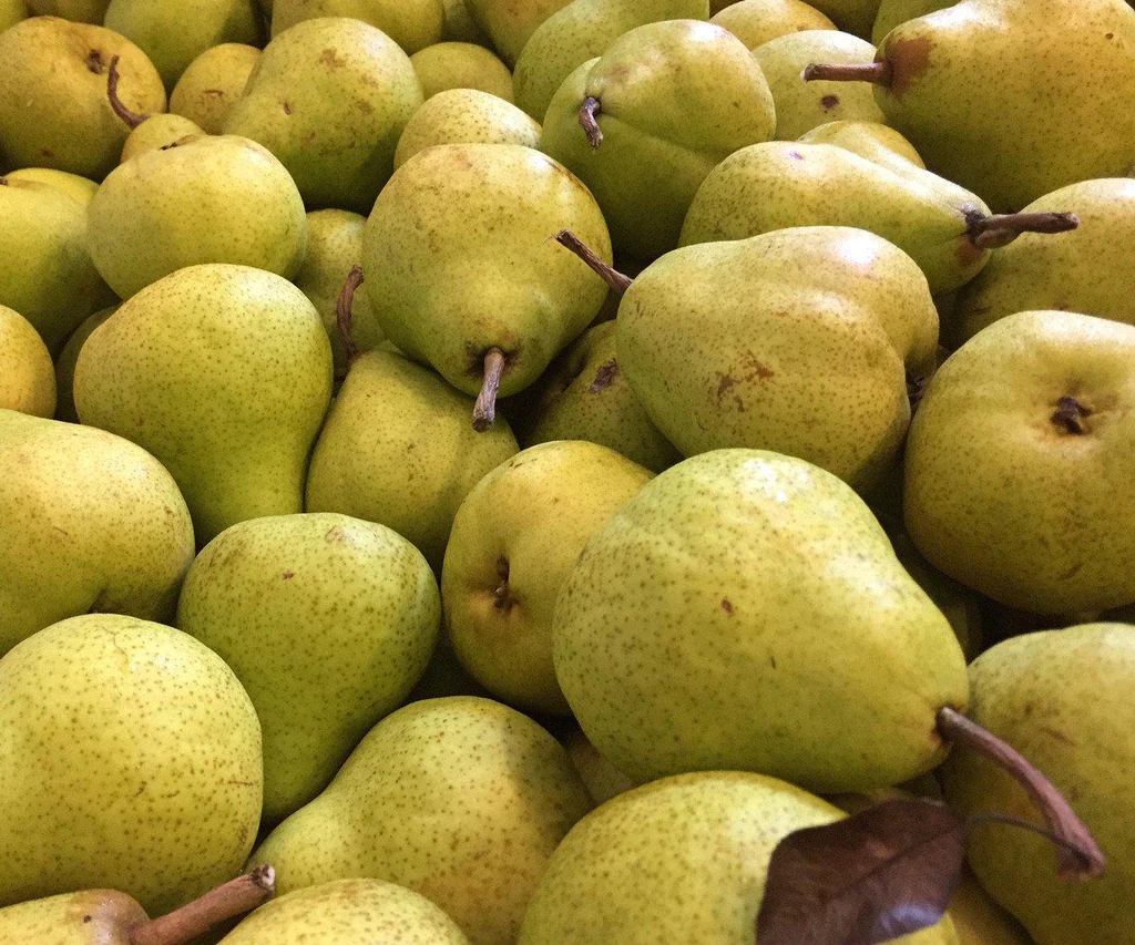 Pear - Packham