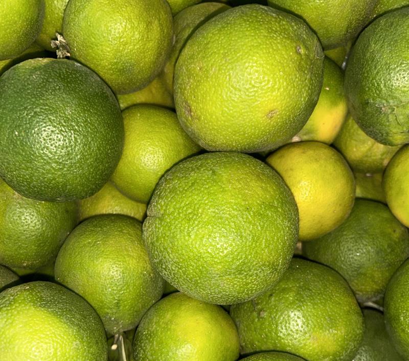 Oranges (local)